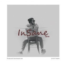 Insane  –   Same